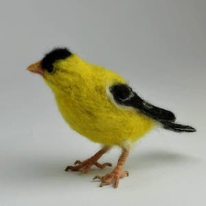 Needle Felted Bird-American Goldfinch Lifesize .Made to order image 4