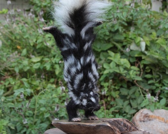 Needle Felted  Animals/Needle felted skunk/Spotted skunk sculpture/ Needle felt sculpture.