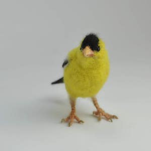 Needle Felted Bird-American Goldfinch Lifesize .Made to order image 3