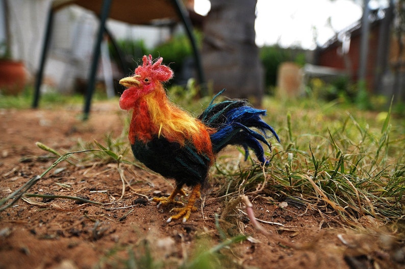 Needle felted Bird . Needle Felted Rooster. Needle felt by Daria Lvovsky image 1