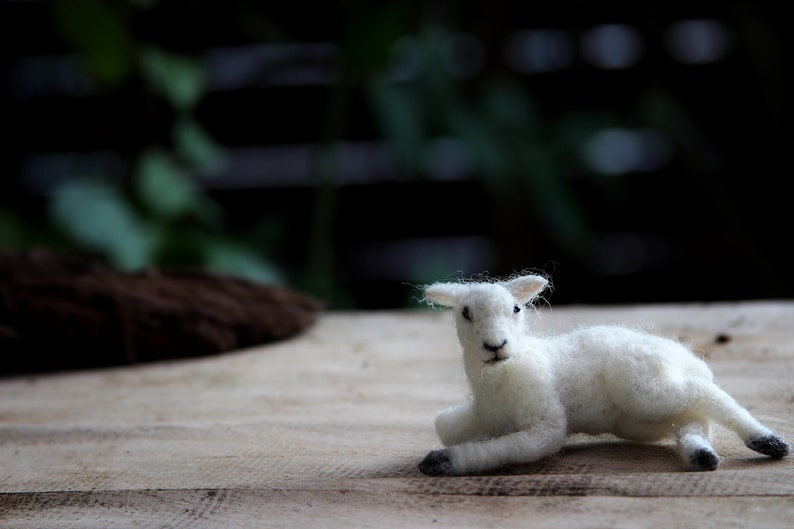Needle felted animal, Tiny lamb, Needle felt animals, Felted lamb, For custom orders image 9