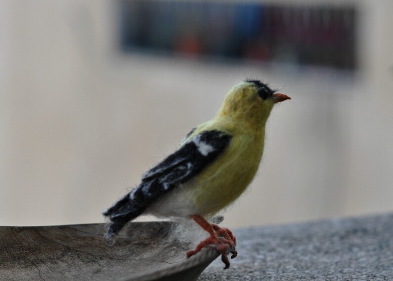 Needle Felted Bird-American Goldfinch Lifesize .Made to order image 2