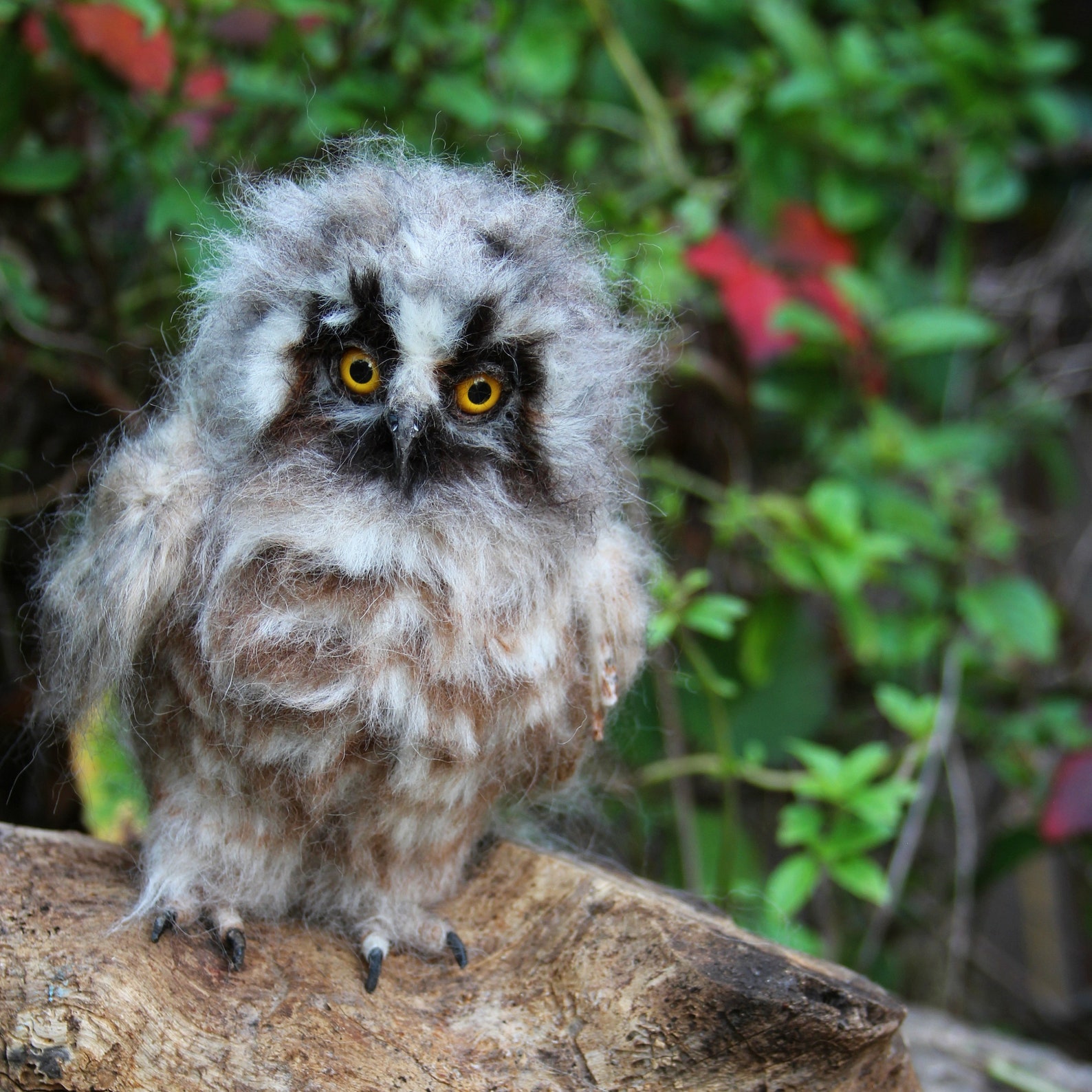 Needle Felted Wool Owl. Felt Owl . Owl Figurine. Baby Owl. Etsy