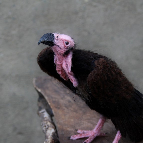 Needle Felted Bird. Red Headed Vulture. Made to Order - Etsy