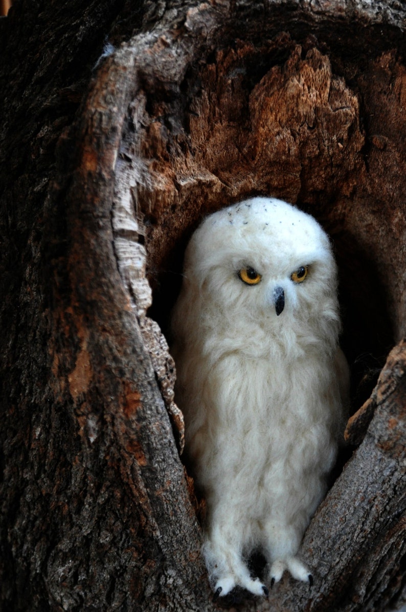 Needle Felted Bird. White felt Owl . Needle felted owl. image 2