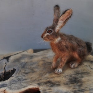 Needle felted animal, Felted rabbit, Needle felted bunny ,Needle felted rabbit, Wool Felt Animals. Jackrabbit. Made to order image 5