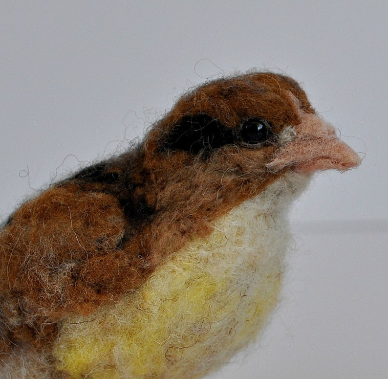 Needle Felted Bird. Easter Chick. Soft Sculpture . Made to Etsy