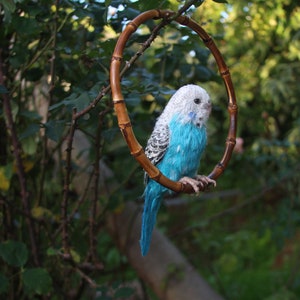 Wellensittich. Papagei Vogel Nadelgefilzter Vogel Vogel Skulptur Blauer Wellensittich Nadelgefilzter Wellensittich Bild 3