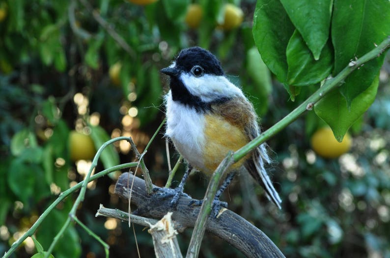 Needle felted Chickadee bird. Made to order. image 4