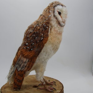 Modern Wool Felted Barn Owl Large Size Realistic Needle Felting Owls Sculpture Artificial Fancy / Cute Birds Fiber Art Beautiful Gift image 7