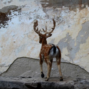 Needle Felted Animal. English fallow deer . needle felted deer sculpture, Deer Made to order image 7