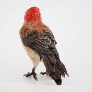 Needle Felted bird. House finch . image 2