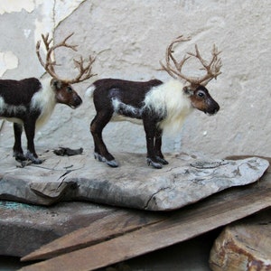 Needle felted animals. Needle Felted Reindeer. Needle felted soft sculpture. Needle felt by Daria Lvovsky image 7