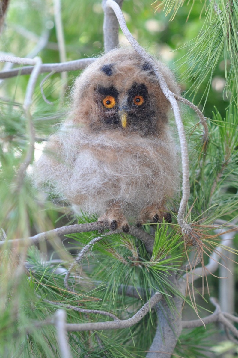 Needle Felted Wool Owl. Felt Owl . Owl Figurine. Baby owl. Etsy