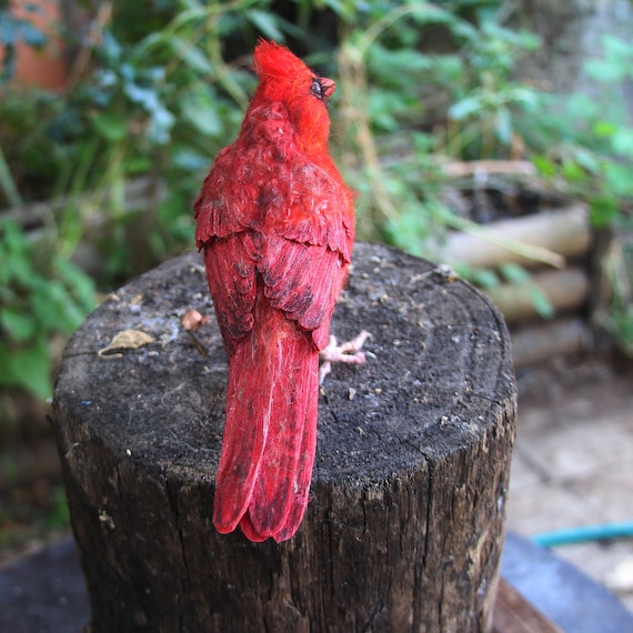 Red cardinal bird pajamas sale