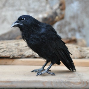 Needle Felted bird. Black raven. image 6