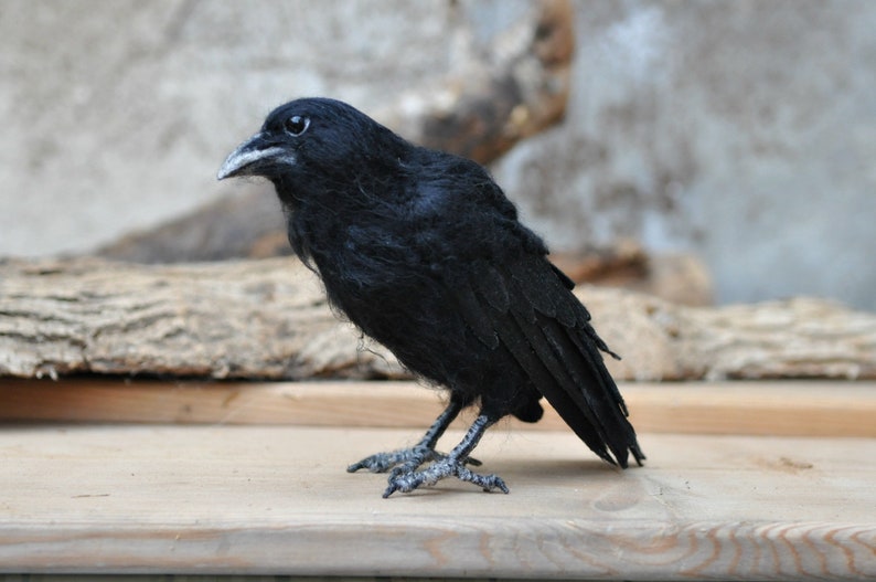 Needle Felted bird. Black raven. image 6
