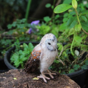 Needle Felted Owl . Needle felted tiny owl .Needle felt realistic owl. .Barn owl. Animal lover gift image 6