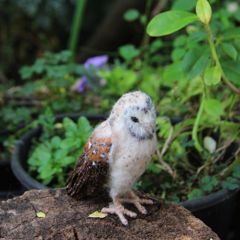 Needle Felted Owl . Needle felted tiny owl .Needle felt realistic owl. .Barn owl. Animal lover gift image 6