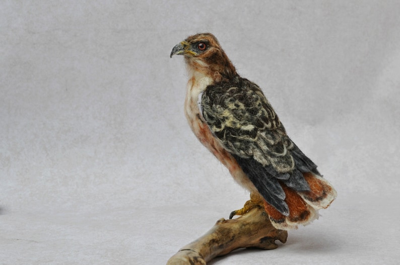 Needle Felted Bird Needle felted Red Tailed hawk Wild Bird Felt bird Bird Lovers Bird made to your order image 1