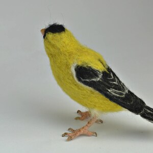 Needle Felted Bird-American Goldfinch Lifesize .Made to order image 5