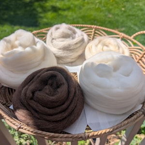 May include: A round, woven wicker basket containing five distinct, coiled bundles of raw wool roving. The collection includes three bundles of bright white wool, one bundle of cream-colored wool, and one bundle of dark brown wool.