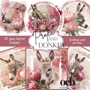 May include: Digital images of donkeys and protea flowers in a watercolour style. The images have a soft, muted colour palette with pink and brown tones. Text includes "Protea and Donkey" and "52 jpeg digital Images".