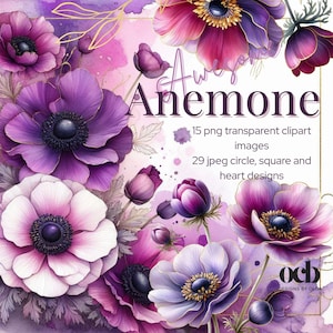 Geweldige anemoon clipart, aquarel geweldige anemoon, achtergrondpapier, scrapbooking, bloemenpapier en clipart.