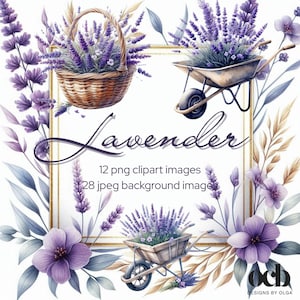 Clipart di lavanda sontuosa, fiori di lavanda, splendida lavanda ad acquerello, carta da sfondo, scrapbooking, carta floreale e clipart.