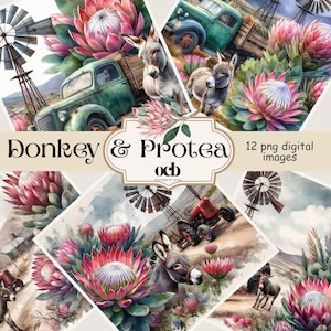 Digitale afbeeldingen van ezels en protea's, sublimatie, magere bekerafdrukken, gebruik voor scrapbooking en knutselen.