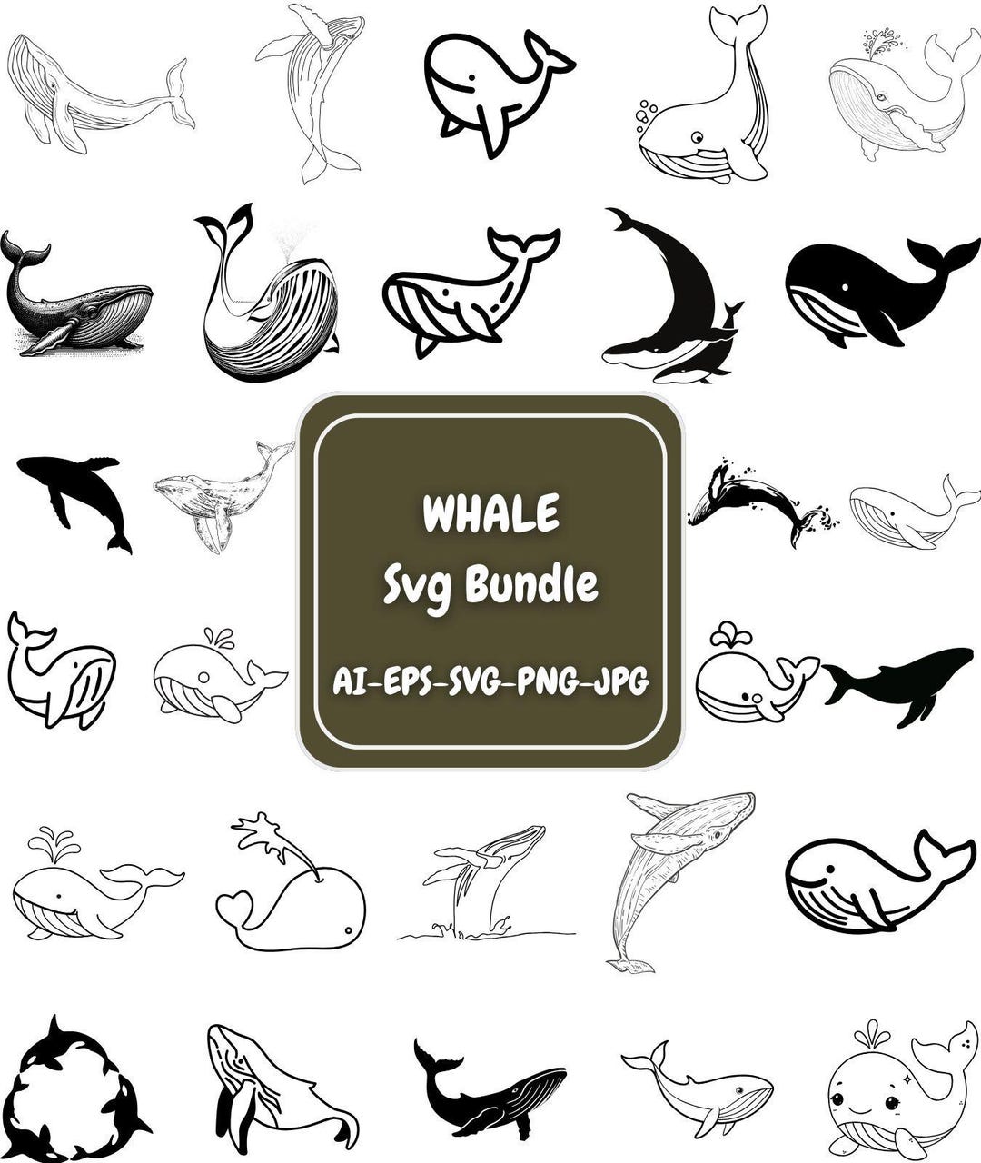Whale Rib Vector Whale SVG Bundle, Whale Png, Whale Eps, Whale Vector, Whale Cut Files ...