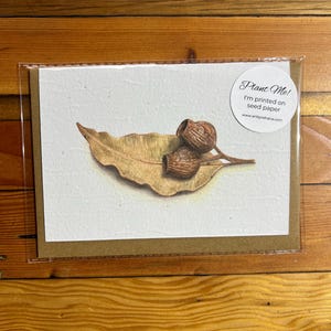 Op de afbeelding: Een wenskaart met een botanische illustratie van eucalyptus zaaddozen en een blad. Het kunstwerk is gedrukt op zaadpapier. De kaart is verpakt in een doorzichtige plastic hoes en een bruine papieren achterkant. De tekst op de kaart luidt "Plant Me! I'm printed on seed paper".