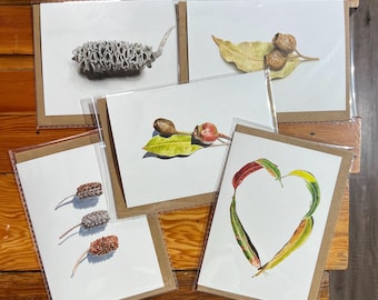 Australische inheemse aquarel kaartenset van 5: eucalyptus, Banksia, gumnut blanco kaarten