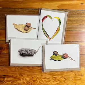 Set van 4 blanco wenskaarten - Australische inheemse botanische planten, eucalyptus, banksia, gumnuts van originele aquarelschilderijen