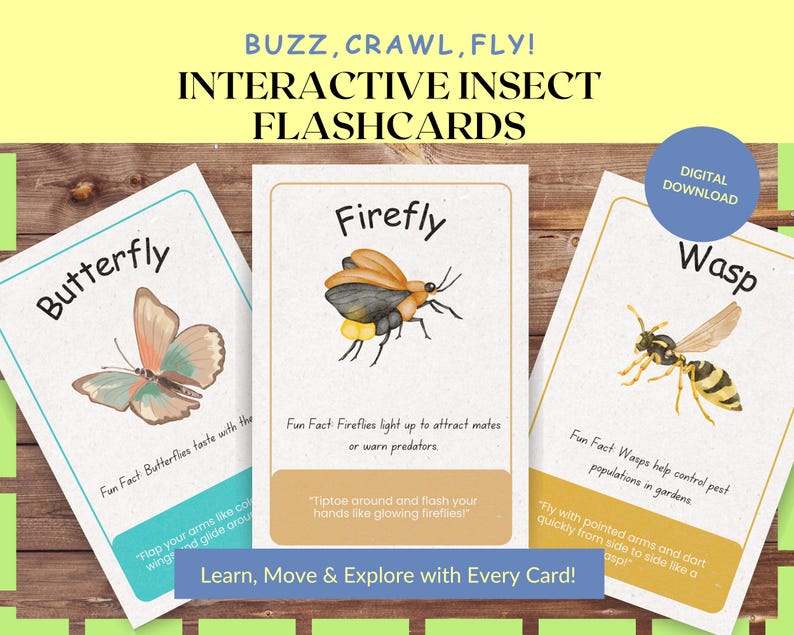 Insect Flashcards for Kids Printable, Educational Bug Cards for ...