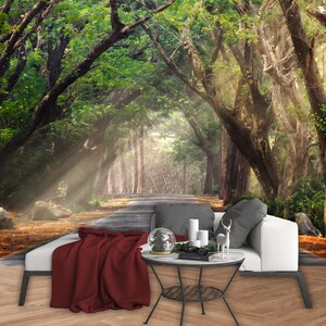 Forest Road Landscape Wallpaper, Forest Mural, Green Trees View wallpaper,Living room Decor,Removable Wallpaper,Wall mural,Forest Road Decal