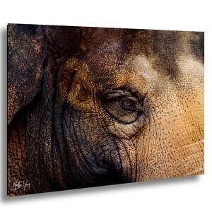 Può includere: Primo piano dell'occhio e della pelle strutturata di un elefante. L'immagine presenta una palette di colori caldi con sfumature di marrone e beige. L'occhio è a fuoco e la pelle mostra rughe e motivi intricati.