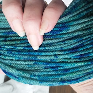 May include: A skein of yarn in shades of teal, blue, and green. The yarn is hand-dyed and has a variegated color pattern.