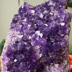 May include: A large amethyst crystal cluster featuring numerous deep purple, pointed quartz points. The mineral specimen displays a dense arrangement of translucent, multifaceted crystals with varying shades of violet, ranging from light to dark.