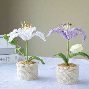 Handmade crochet lily potted plant, crochet gift, home decoration, office decoration, anniversary gift, birthday gift, valentine&#39;s day gift