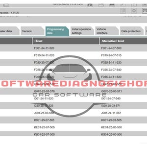 BMW, ista+ v4.54.20,ista-P 3.74 for BMW E, F, G remote installation software