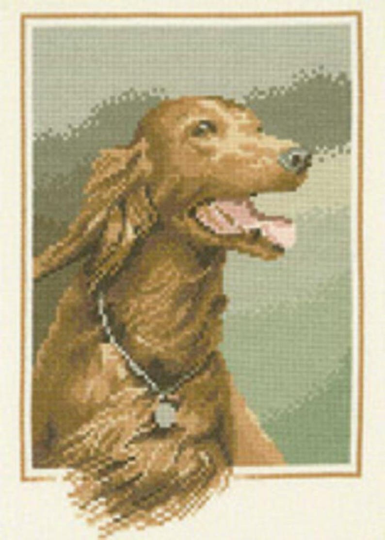 Red Setter Cross Stitch Chart from The John Stubbs Edition by Heritage Crafts cross stitch pattern counted cross stitch chart