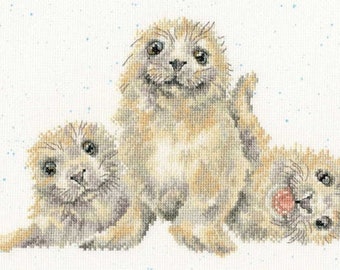 Bothy Threads Kreuzstich-Set 'Langhaarcollie' Von Hannah Dale (Wrendale) – 26x26 Cm, 14 Ct Aida, Inkl. Garn & Nadel