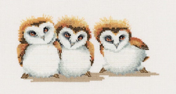 Dimensions Needlecrafts Owl Trio Counted Cross Stitch Kit | 5x7 Inch Design On 14 Count Light Blue Aida - View #9
