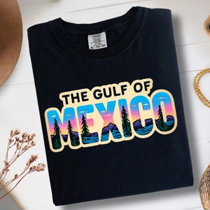 Gulf of Mexico Stay Salty Resistance Shirt, Resist Shirt, Anti Trump Shirt, Democrat Shirt, Democrat Gift Shirt