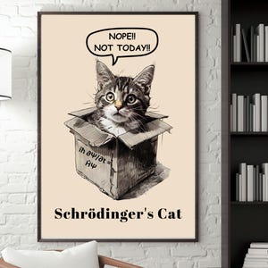 Pode incluir: Uma impressão emoldurada com um gato numa caixa de cartão com o texto "NOPE!! NOT TODAY!!" numa bolha de fala. A impressão também inclui o texto "Schrödinger's Cat" abaixo da imagem do gato.