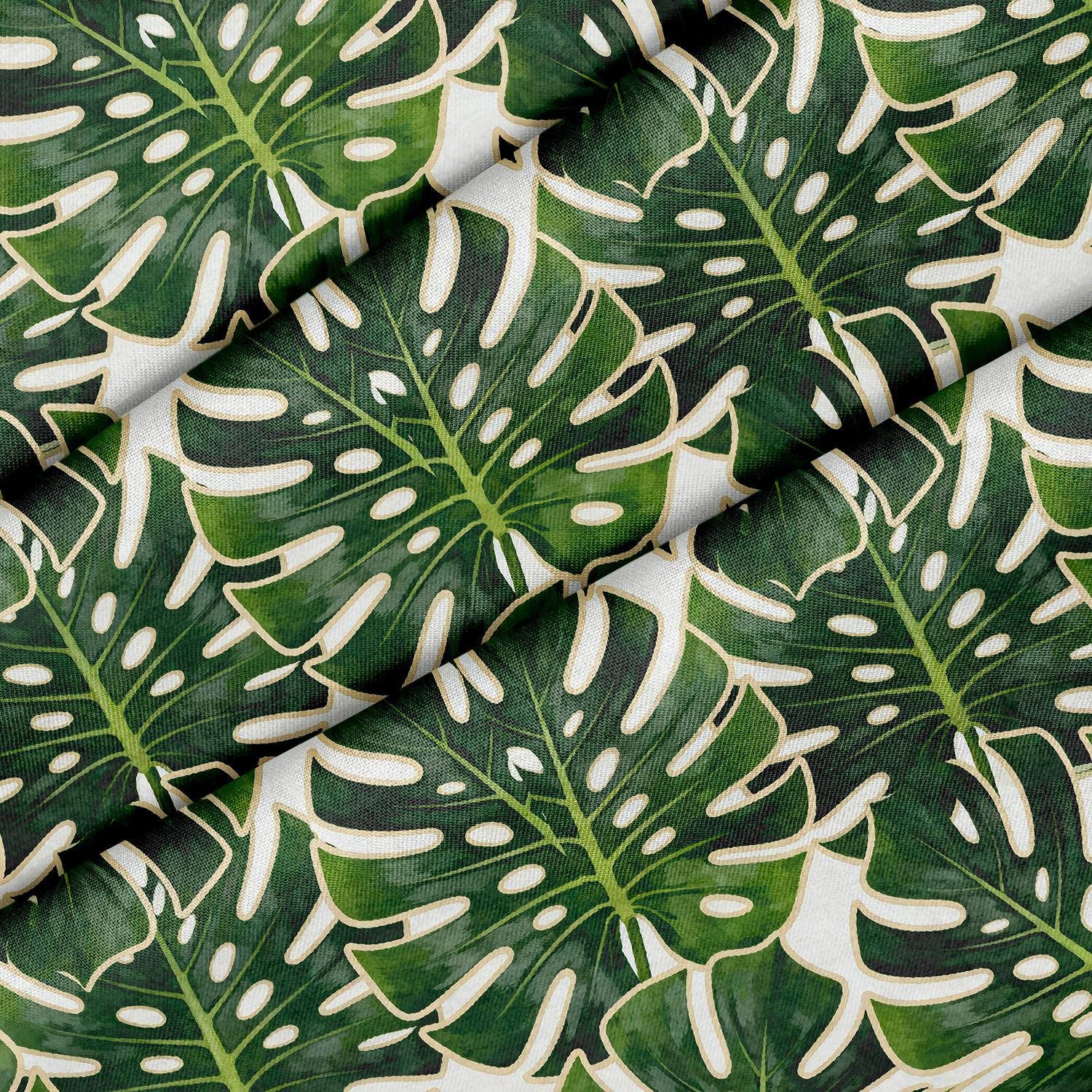 philodendron scandens steckling Philodendron Scandens (Heartleaf Philodendron)  120 cm  urbanjngl.com