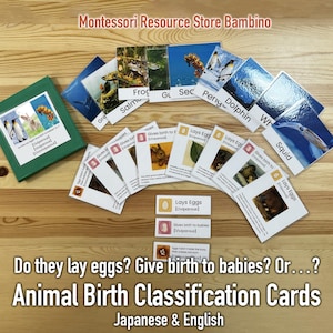 卵を産む？赤ちゃんを産む？それとも…？ / 動物の出生分類カード
