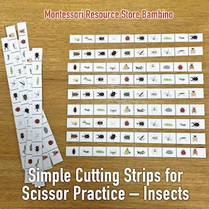 Puede incluir: Un conjunto de 10 tiras blancas con varias imágenes de insectos impresas en ellas. Las tiras están diseñadas para la práctica de las tijeras y están etiquetadas "Simple Cutting Strips for Scissor Practice - Insects".