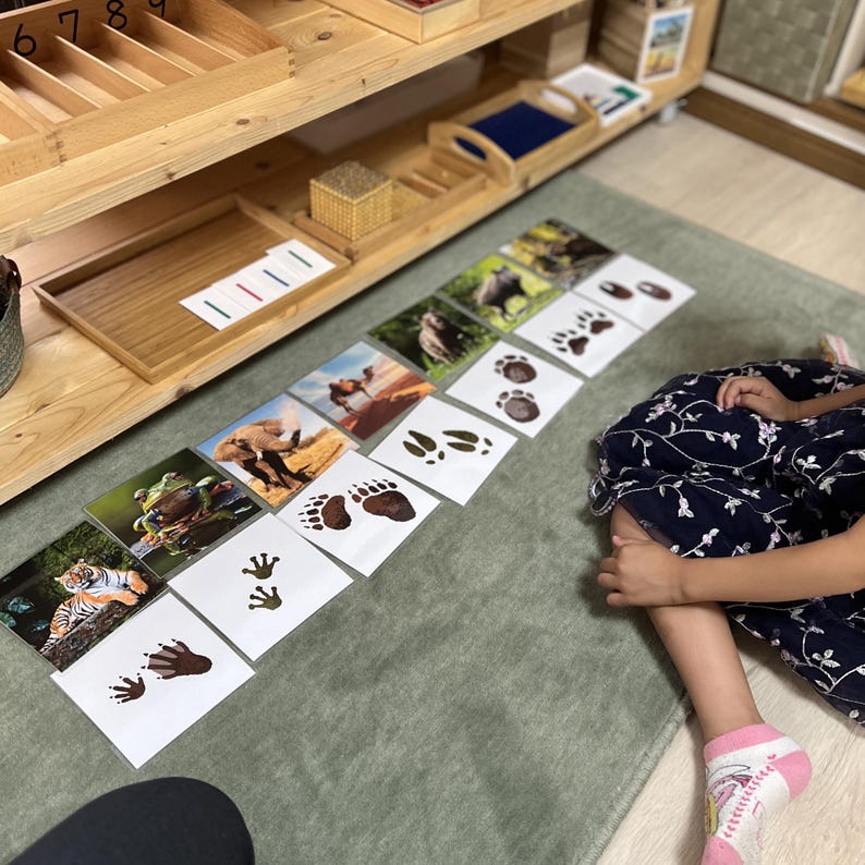 May include: A child is matching animal footprints to pictures of animals. The pictures include a tiger, frog, elephant, camel, and a bear. The footprints are on white cards with a green background.